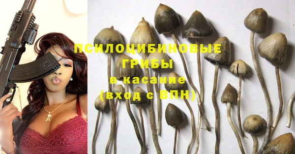 ГАЛЛЮЦИНОГЕННЫЕ ГРИБЫ Бугульма
