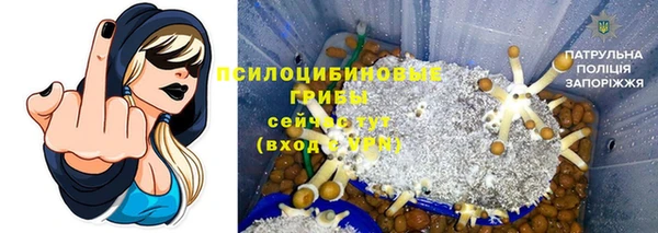 ешки Бородино