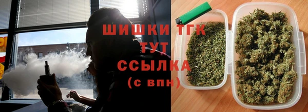 ешки Бородино