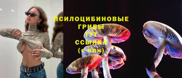 ГАЛЛЮЦИНОГЕННЫЕ ГРИБЫ Бугульма