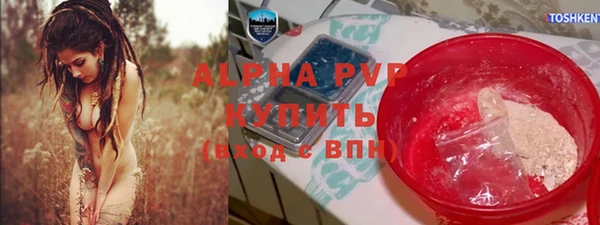 ешки Бородино