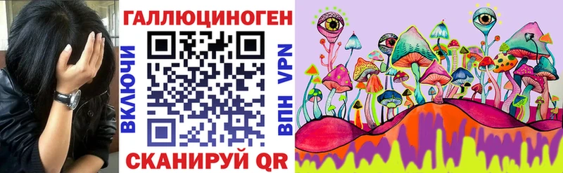 Купить закладки  Медынь  Галлюциногенные грибы Psilocybe 